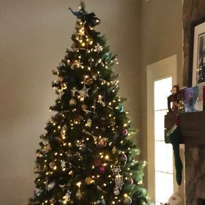 Meet your Posher, Veronica